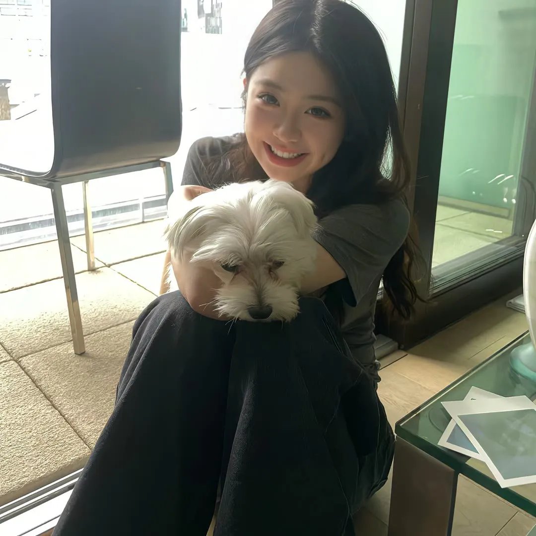 理性和感性