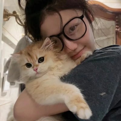 罗伯特·唐尼：自成一格